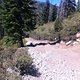 IMG 0662