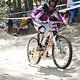 IMG 4994