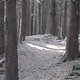 IMG 0958Large 1272301192