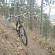 Kirschberg-Trail2