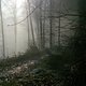 DSC 000001-001
