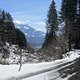 IMG 5833