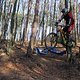 IMG 1706