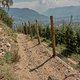 DSC04198