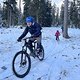 IMG 7330
