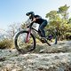 PROPAIN-Tyee-6-1-CF-MY25-eignerframes DSC9013
