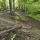 Gratis Wurzeltrail