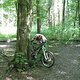 IMG 0049