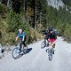 IMG 0478