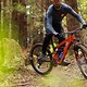 Ibis Cycles HD6 Riding (30)
