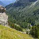 IMG 3878