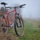 exp rot wunsch