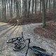Winterpokal-Aktivität