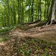 Gratis Wurzeltrail 2.0