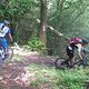 Katzenbuckel-Tour 014-2012-07-22