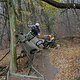 IMG 3272