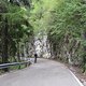 IMG 1469