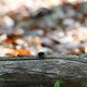 IMG 4915