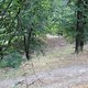 DSC00436