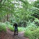 IMG 0033