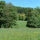 DSCF0031