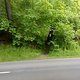 DSC00194