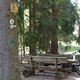 Im Herzen des Pfälzerwalds 2