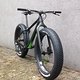 Meles Fatbike (MT-Sports)