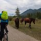 IMG 0777