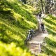 Der neue Trail hat die Schwierigkeit Rot und …