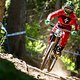 Troy Brosnan - UCI DH World Cup #2: Val di Sole