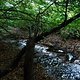 DSCF3744