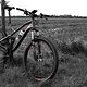 IMG 4393