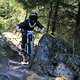 IMG 4191
