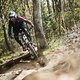 specialized-enduro-action-5193