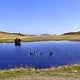 2023-09-011-GlittnerSee