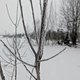 Winterpokal-Aktivität