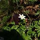 Spring 3