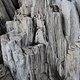 IMG 6432