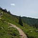 Trail