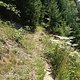 IMG 0381