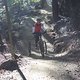IMG 3319