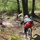 IMG 0587