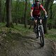 IMG 3609