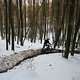 IMG 4918
