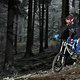 DSC 0138 bearb