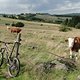DSC00424 1000