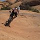 IMG 0664