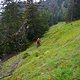 Hometrails ...