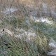 DSC01264